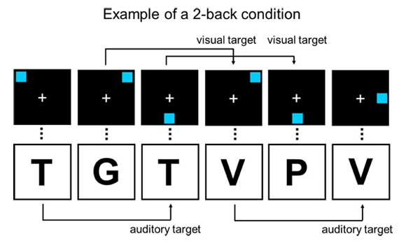 increase iq with dual n-back